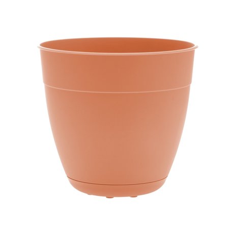 BLOEM 6 in. D Plastic Dayton Planter Coral DAY0621